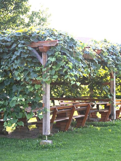 A cozy outdoor area with wooden tables and benches, surrounded by lush grapevines. In the background, gentle hills stretch out with vineyards. | © TV Südsteiermark