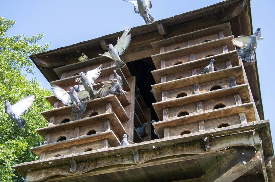 pigeon coop in the Thermenpark - Impression #1 | © Kurkommission Bad Blumau
