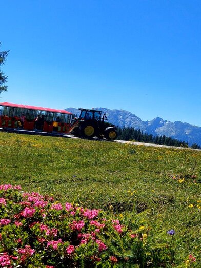 Slow train ride on the Tauplitzalm  | Hollhaus