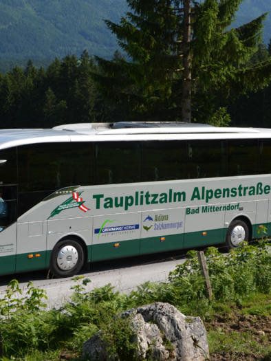 A bus drives up the dreamy Tauplitzalm Alpenstraße Alpine Road to the high plateau, surrounded by the summer landscape in Bad Mitterndorf. | © Tauplitzalm Alpenstraße GmbH & KG