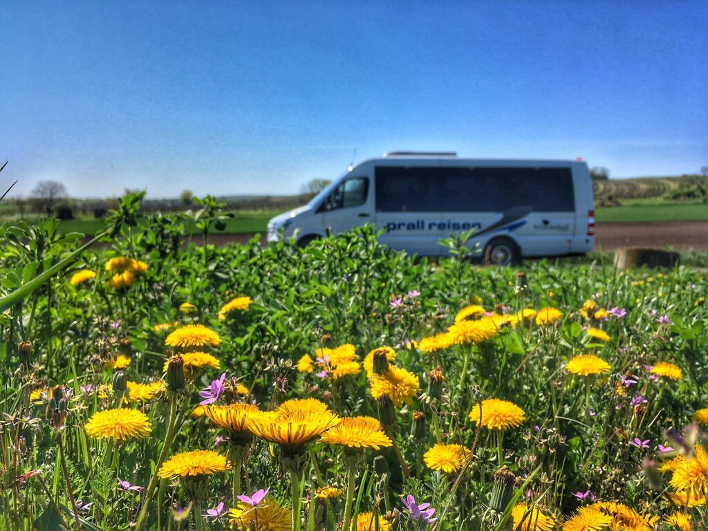 Taxi Mietwagen Omnibus Prall in St. Stefan ob Stainz