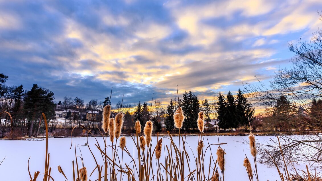 Winterlandschaft | © TV Südsteiermark - Petru Rimovetz