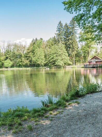 Blick über den See beim Teichwirt in Voitsberg mit Uferweg, Bank und Bäumen. | © Die Abbilderei