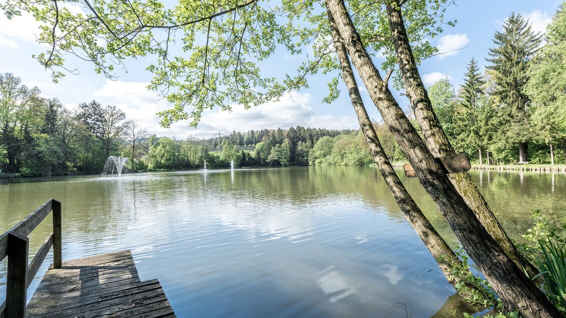 Holzsteg am See beim Teichwirt in Voitsberg, umgeben von Bäumen und ruhiger Wasserfläche. | © Lipizzanerheimat-Die Abbilderei