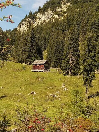 Teltschenalm | © Christina Arzberger