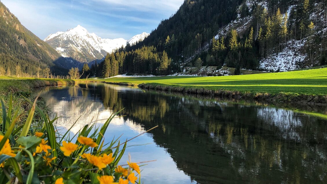 Ein ruhiger Fluss fließt durch eine malerische Landschaft mit grünen Wiesen und bunten Blumen. Im Hintergrund erheben sich schneebedeckte Berge unter einem klaren Himmel. | © Livia Lassacher