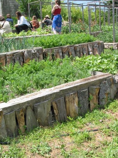 Ein Garten mit mehreren Beeten, die mit Holz eingefasst sind. Im Hintergrund sitzen Menschen und genießen die Natur. | © Therapiegarten Herbersdorf