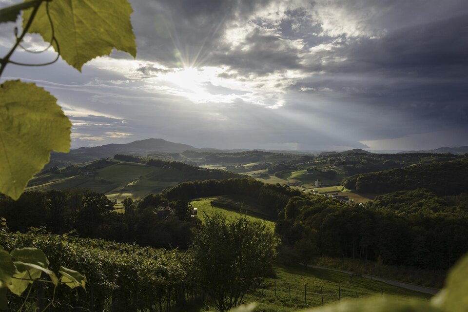 Thermenland Weinstraße - Impression #1 | © Steiermark Tourismus