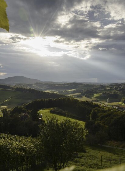 Thermenland Weinstraße bei Fehring | © Steiermark Tourismus | Atelier Jungwirth W. Schandor | © Steiermark Tourismus
