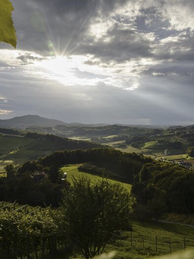 Thermenland Weinstraße bei Fehring | © Steiermark Tourismus