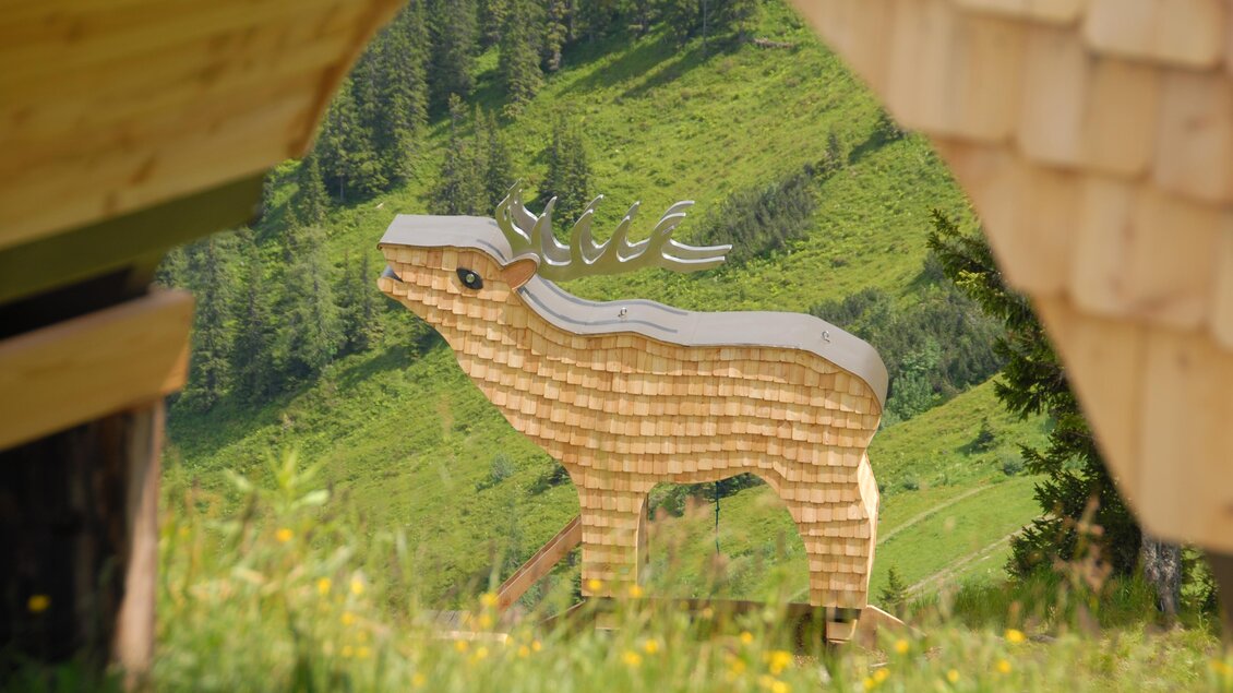 Welcher Spielplatz verbirgt sich wohl im Hirsch? | © Erwin Petz