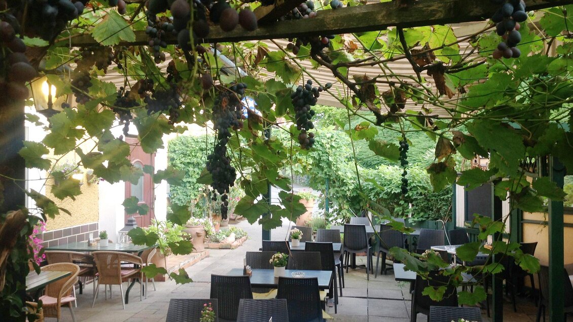 Ein gemütlicher Innenhof mit Tischen und Stühlen unter einem Weinlaubdach. Im Hintergrund sind grüne Pflanzen und Bäume sichtbar. | © Tinos
