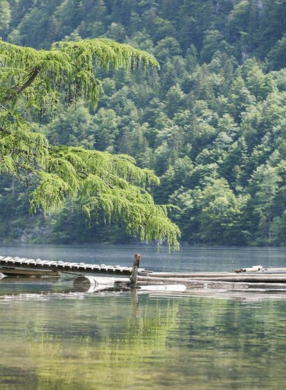 Toplitzsee, Grundlsee, Idylle pur | Schifffahrt Grundlsee/Eisenberger | © Schifffahrt Grundlsee/Eisenberger