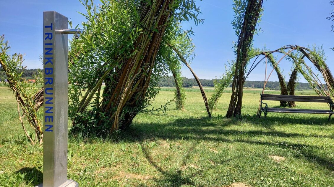 Ein Trinkbrunnen steht in einer grünen Wiese, umgeben von lebendigen Pflanzen. Im Hintergrund sieht man eine Bank und einen klaren Himmel. | © Thermen- & Vulkanland
