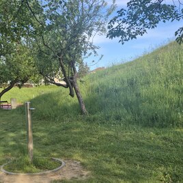 Eine grüne Wiese mit Bäumen und einem Hügel im Hintergrund. Der Himmel ist blau und es ist ein ruhiger Ort. | © Petra Stossier