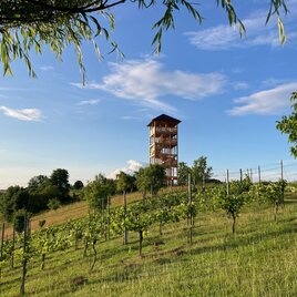 Ein Aussichtsturm auf einem sanften Hügel, umgeben von Weinreben. Der Himmel ist blau mit ein paar weißen Wolken. | © Gemeinde Unterlamm