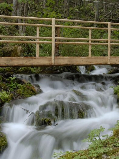 Weg zum Pöllauer Ursprung | Gerda Kasparec | © Tourismusverband Murau