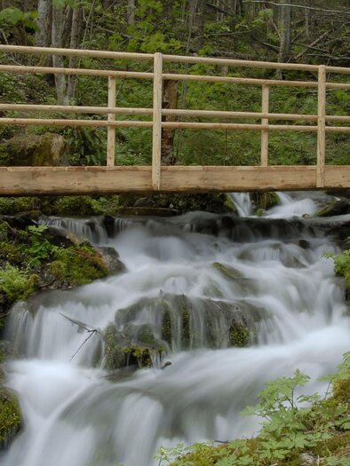Weg zum Pöllauer Ursprung | © Tourismusverband Murau