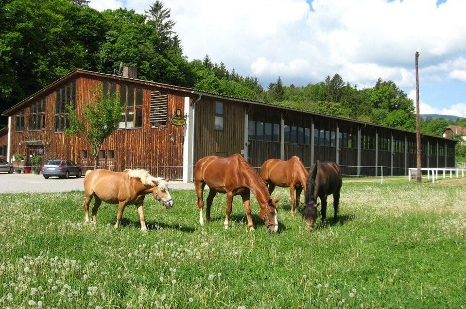 Event and equestrian sports center - Impression #1 | © Reitsportzentrum