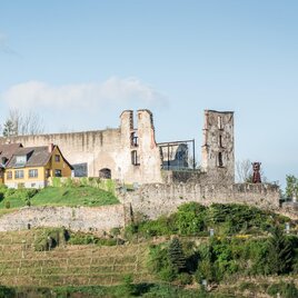 Voitsberger Schlossberg | © Lipizzanerheimat - Die Abbilderei