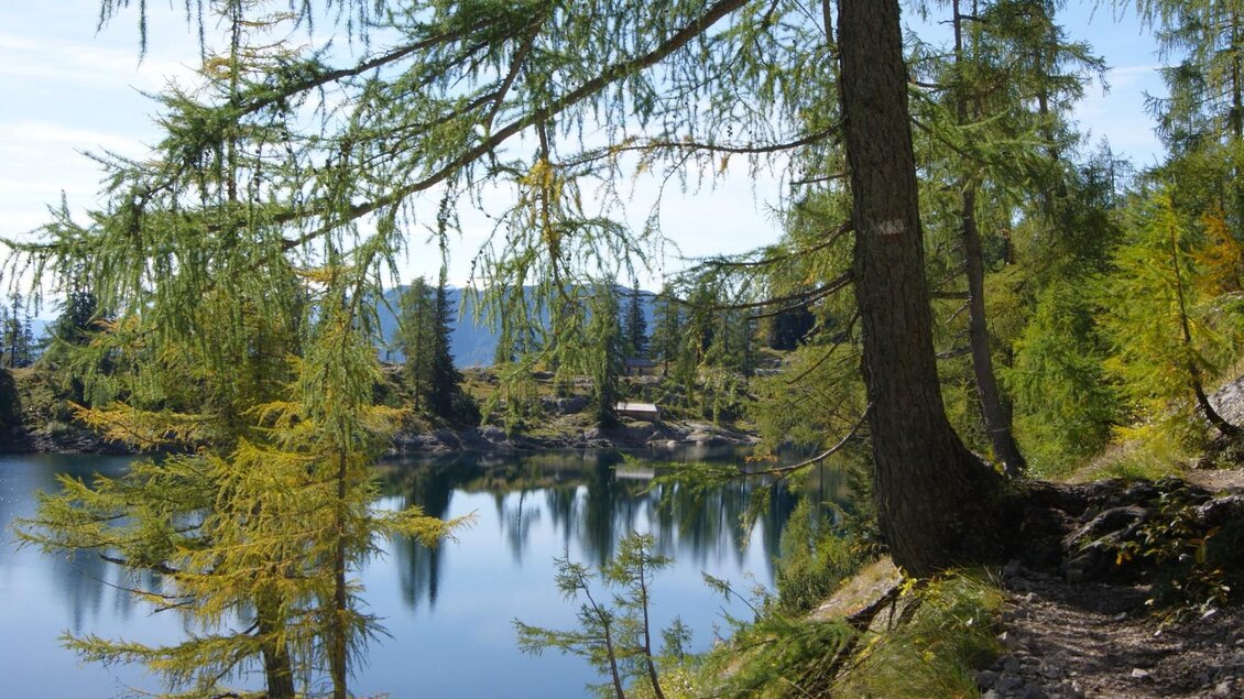 Vorderer Lahngangsee, Grundlsee, Föhren | © Bettina Scheck