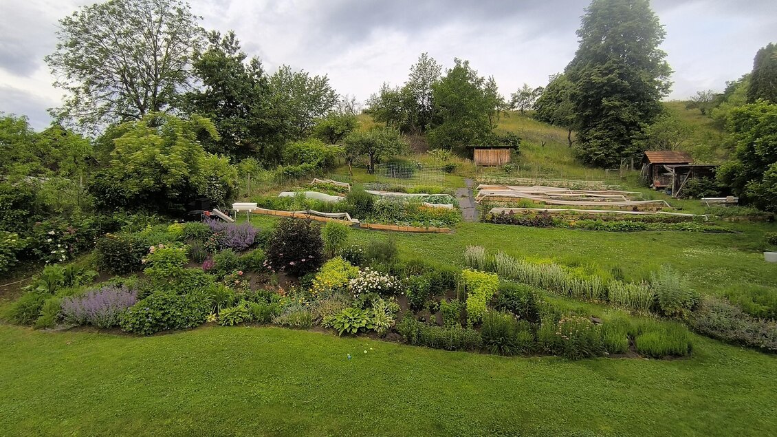 Weitläufiger Gemüsegarten mit Beeten, Kräutern, Blumen und Bäumen bei "Vorsicht, Gemüse! auf der Schneßl-Huabn" in Ligist. | © Vorsicht Gemüse!