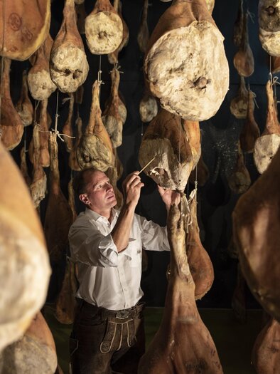 Ein Handwerker überprüft sorgfältig die Schinken, die hängend in einem Lagerraum gereift sind. Die Umgebung ist mit zahlreichen Schinken gefüllt, die in verschiedenen Größen hängen.
