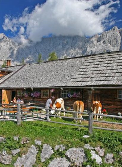 Sommer Walcheralm | © Raffalt