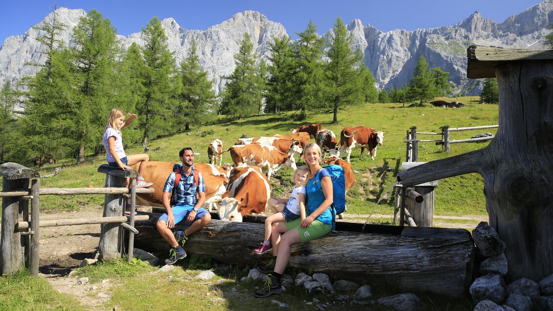 Wasserstelle auf der Walcheralm | © Herbert Raffalt