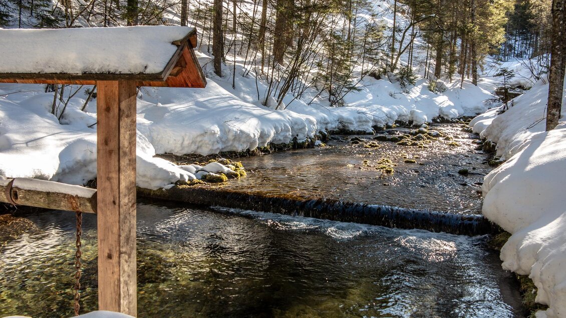 Ein klarer Bach fließt durch eine schneebedeckte Landschaft. Umgeben von hohen Bäumen, strahlt die Szene Ruhe und Winterstimmung aus.