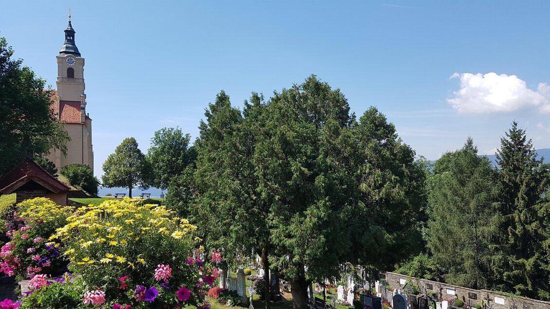 Eine schöne Landschaft mit grünen Bäumen und bunten Blumen im Vordergrund. Im Hintergrund ist ein Kirchturm unter einem klaren Himmel zu sehen. | © Christine Schwetz