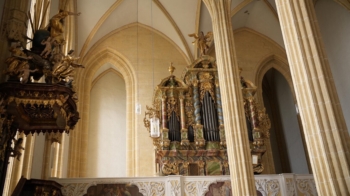 Eine prächtige Kirche mit hohen Gewölben und kunstvollen Verzierungen. Im Hintergrund steht eine beeindruckende Orgel umgeben von Säulen. | © Tourismusverband Oststeiermark