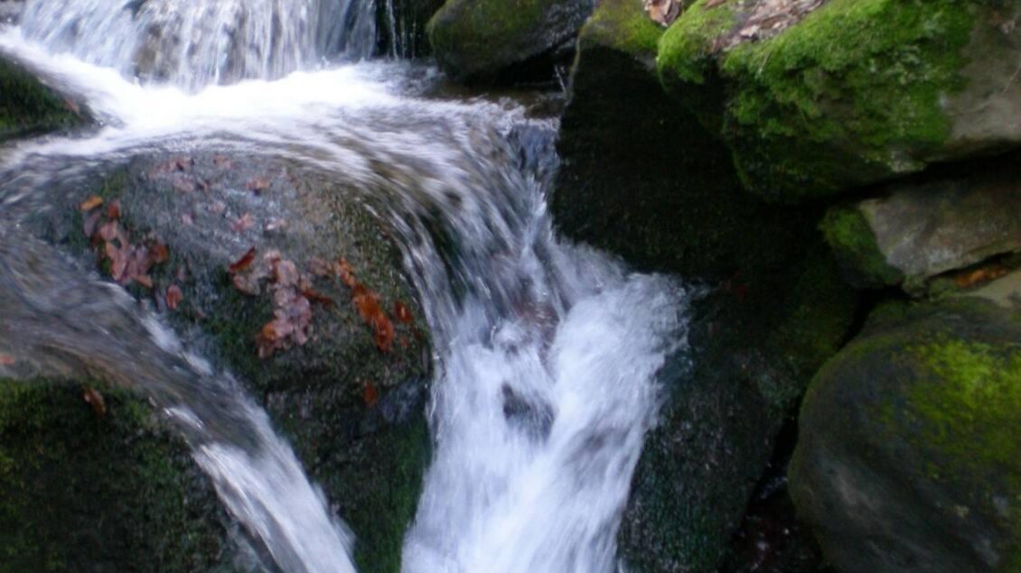 Ein kleiner Wasserfall fließt über moosbedeckte Felsen. Die Umgebung ist grün und natürlich. | © Schilcherland Steiermark