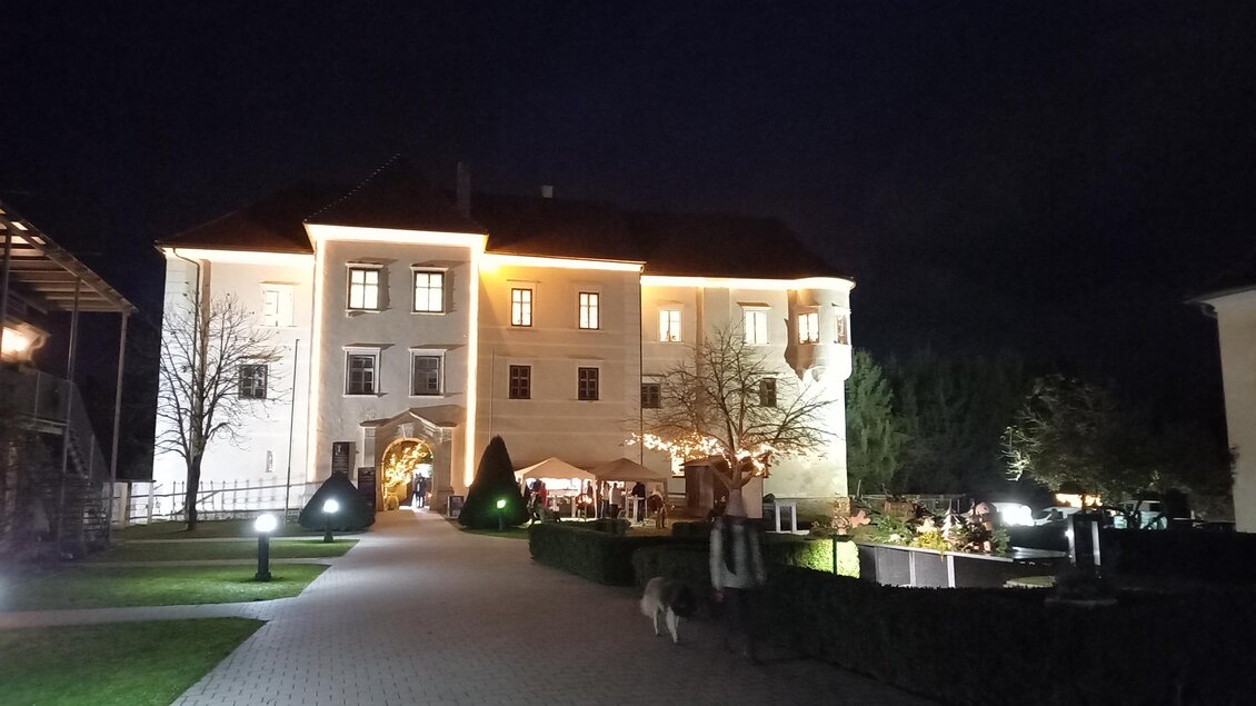 Ein beleuchtetes Gebäude in der Nacht, umgeben von einem gepflegten Garten. Der Weg führt zu einem einladenden Eingang mit Bäumen und grünen Sträuchern. | © Sonja Brünner