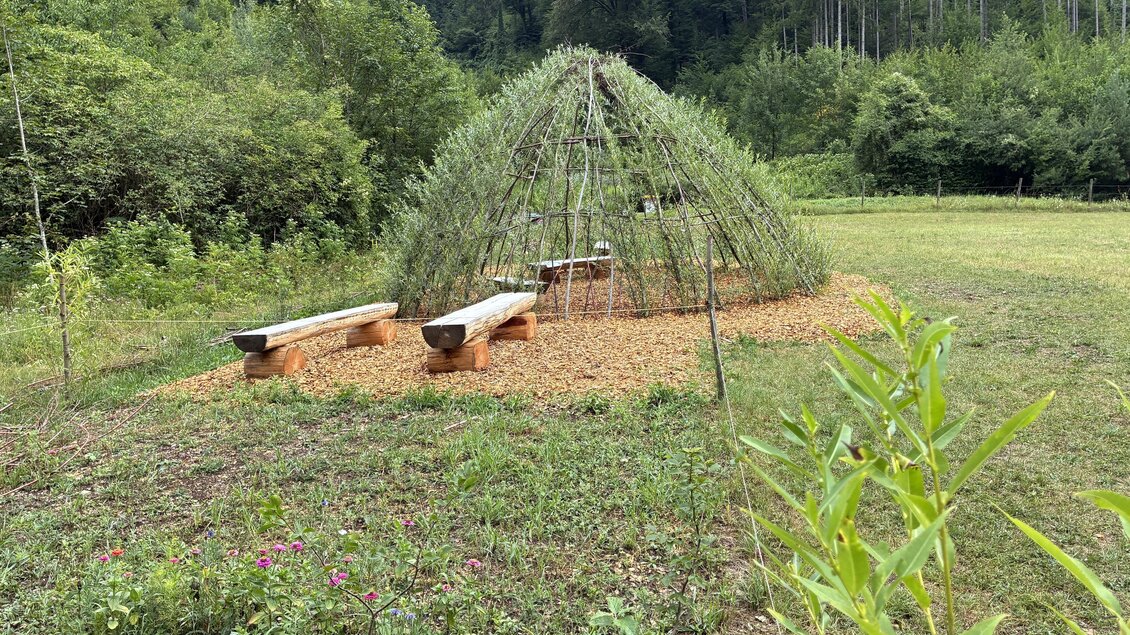 Eine einzigartige, runde Struktur aus Pflanzen steht in einer grünen Umgebung. Es gibt zwei Bänke aus Holz, die einen gemütlichen Platz zum Sitzen bieten. | © Gerd Neuhold