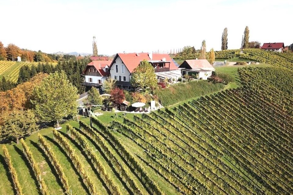 Weinbau Dworschak - Impression #1