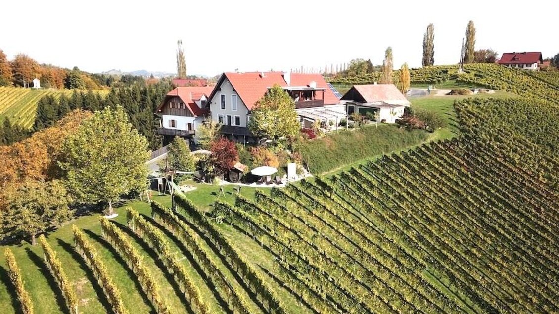 Eine malerische Weinlandschaft mit sanften Hügeln und einem gut gepflegten Weinberg. Im Hintergrund steht ein charmantes Haus mit roten Dächern.