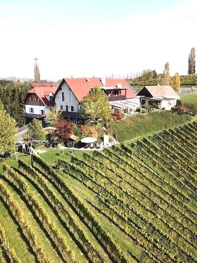 Weingut Dworschak