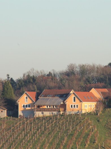 Weinbau Kahr in Fehring | © Martin Kahr