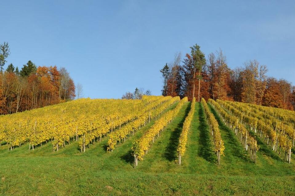 Weinbau Raab-Holzer - Impression #1 | © Buschenschank Raab-Holzer