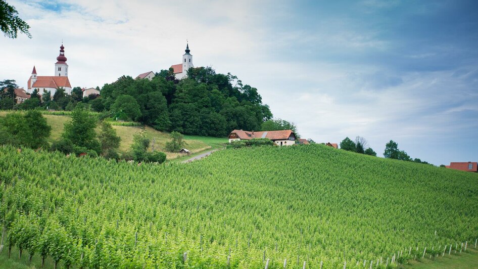 Blick zum Weingut & zum Himmelsberg | © Weingut Tropper, Schlamadinger