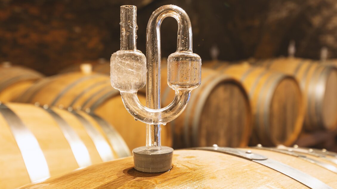 <p>Im Weinkeller beim Weingut Wurzinger in Waldsberg.</p> | © Weinbau Wurzinger
