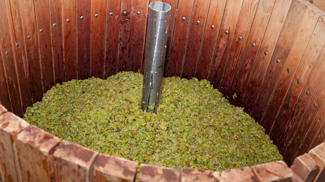 <p>Baumpresse mit Trauben am Weingut Wurzinger in Waldsberg.</p> | © Weinbau Wurzinger