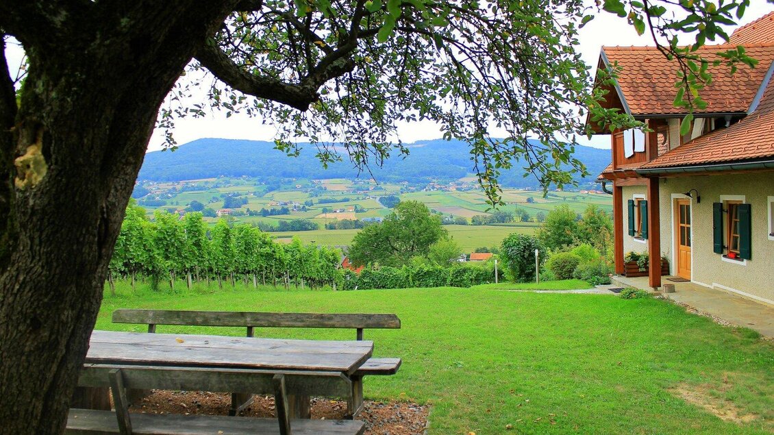<p>Winzerhaus Wurzinger in Waldsberg mit tollem Ausblick</p> | © Weinbau Wurzinger