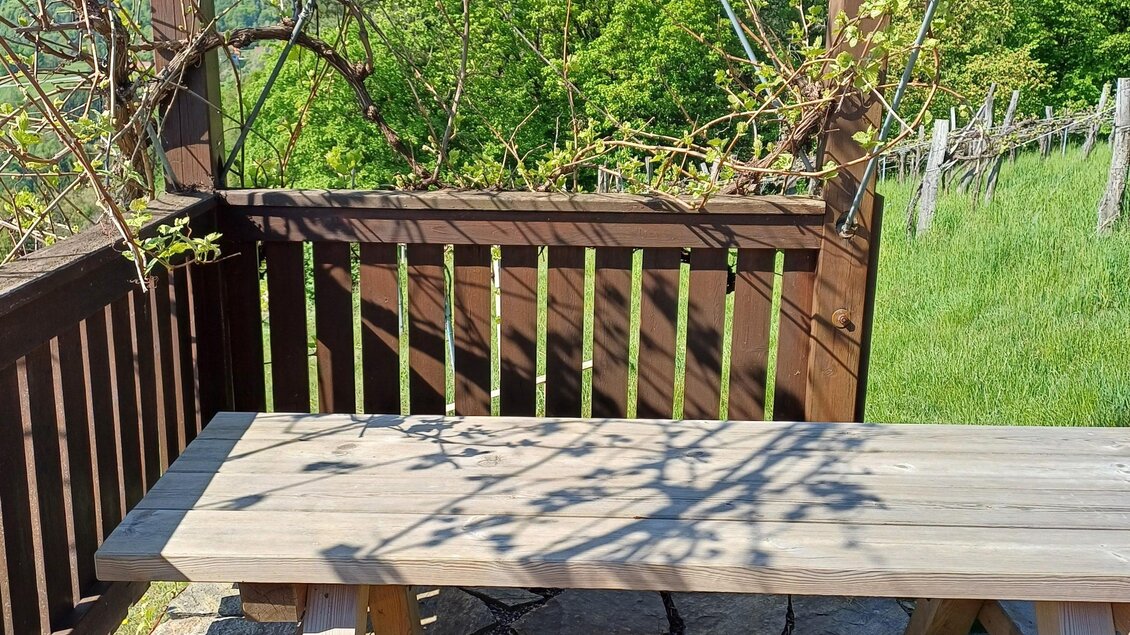 Ein Holztisch steht unter einem Pavillon, umgeben von frischem Grün. Die Sonne scheint und wirft Schatten durch die Äste. | © Spitz