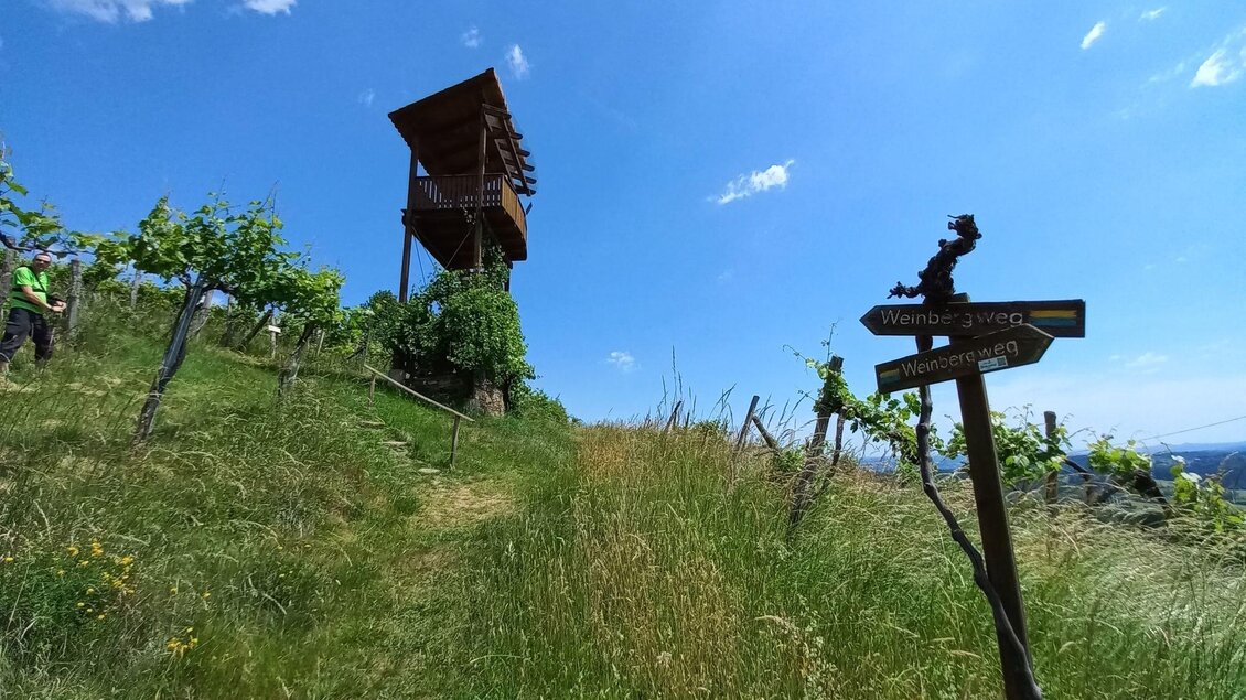 Ein Aussichtsturm auf einem Hügel umgeben von Wiesen und Weinreben. Ein Richtungsschild weist auf verschiedene Wanderwege hin. | © TV Südsteiermark