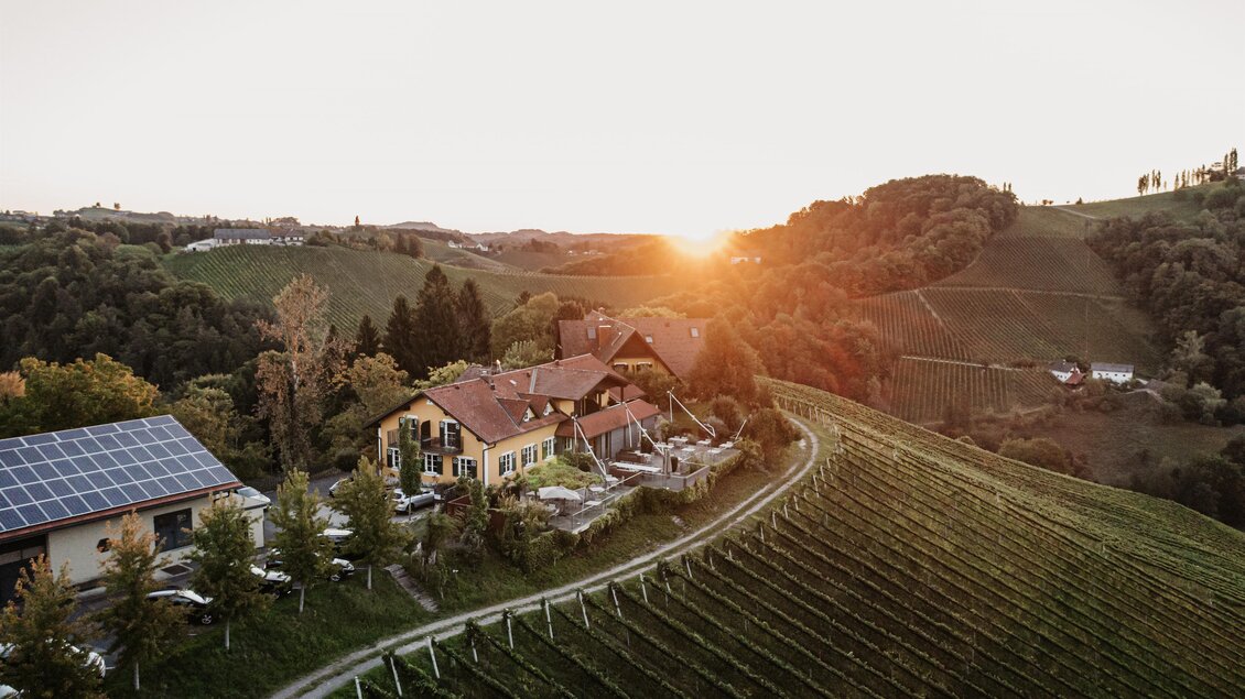 Eine malerische Landschaft mit Weinbergen und einem gemütlichen Haus im Vordergrund. Die Sonne geht hinter den Hügeln unter und sorgt für eine warme Atmosphäre.