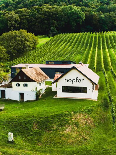 Ein malerisches Weingut mit grünen Reben und einem modernen Gebäude. Die sanften Hügel verleihen der Landschaft eine friedliche Atmosphäre.