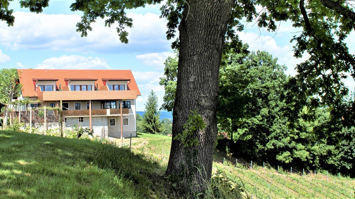 Ein malerisches Haus in der Natur mit einem roten Dach. Im Vordergrund steht ein großer Baum und im Hintergrund sind Weinreben zu sehen. | © Weingut Assigal