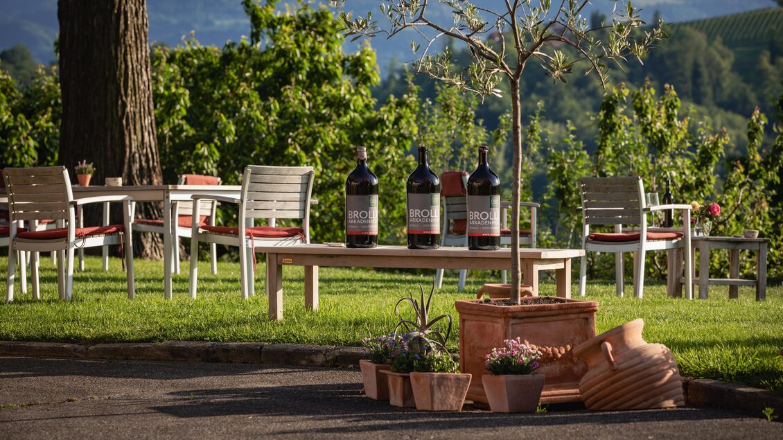 Weingut Brolli - Arkadenhof - Impressionen #2.3